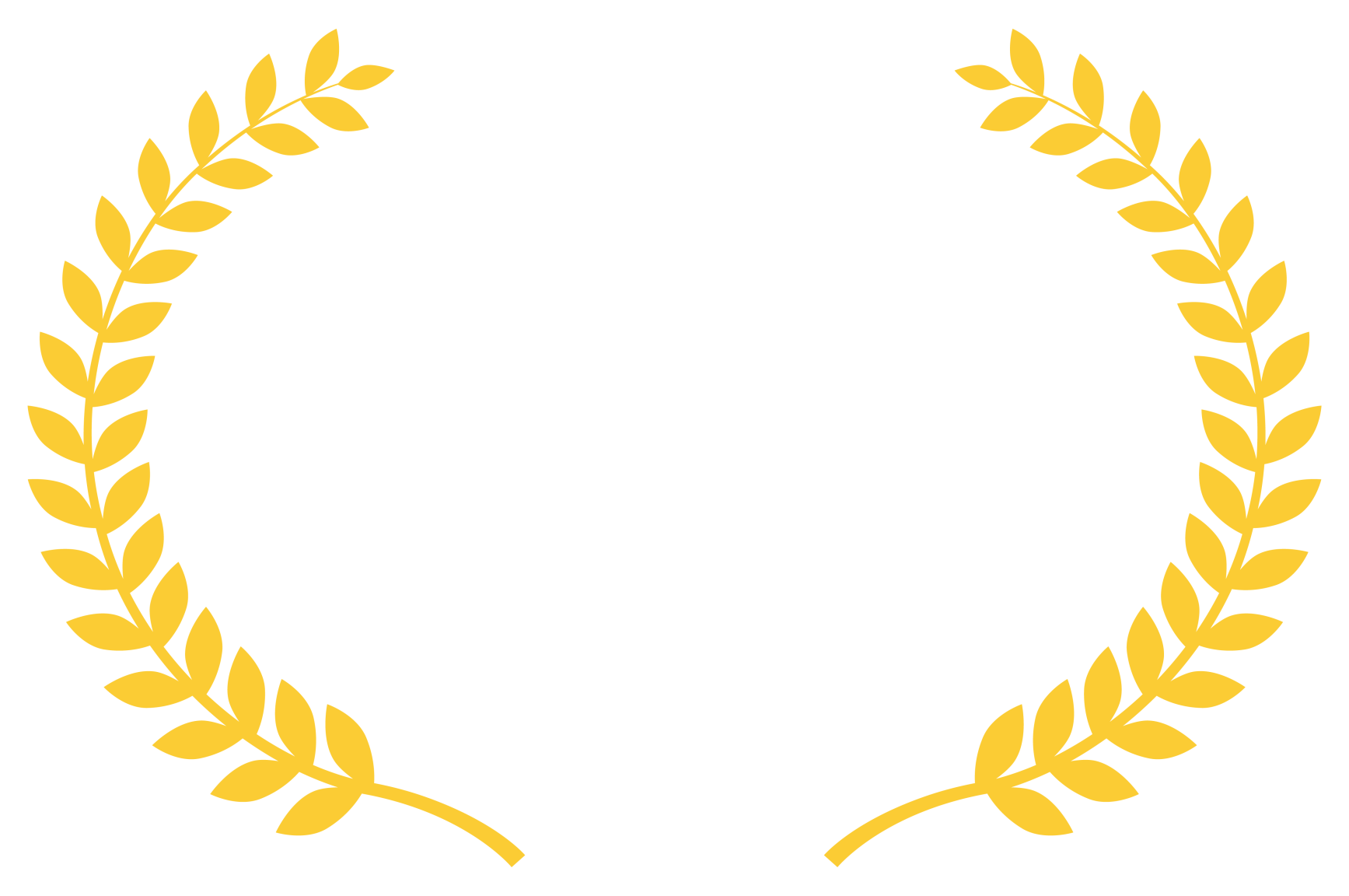 Best Video production company